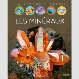 Mineraux (les)