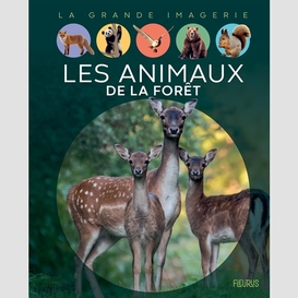 Animaux de la foret (les)