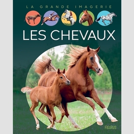 Chevaux (les)