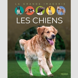 Chiens (les)