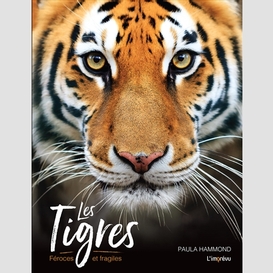 Tigres (les) feroces et fragiles