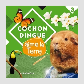 Cochon dingue aime la terre