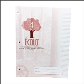 Cahier ecolo 4 inter-point.5mm 40pages