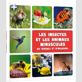 Insectes et animaux minuscules du queb