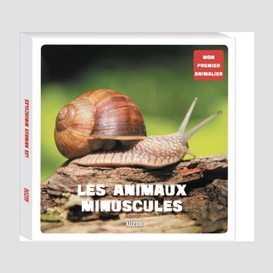 Animaux minuscules (les)