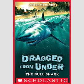 The bull shark (dragged from under #1)