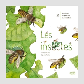 Insectes (les)