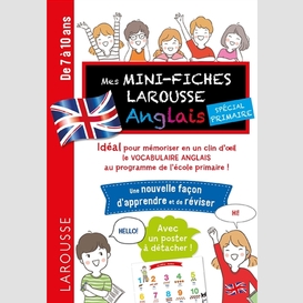 Mini-fiches larousse anglais