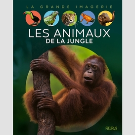 Animaux de la jungle (les)