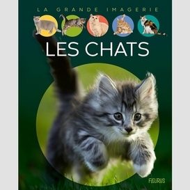 Chats (les)