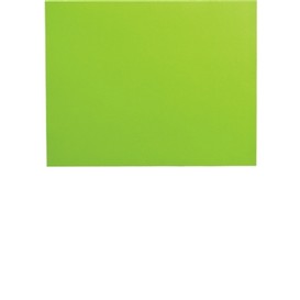Carton fluorescent 22x28 vert
