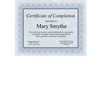 Certificates blue&silver 100/pkg