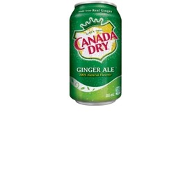 12/bte boisson gazeuse ginger ale