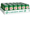 Canada dry ginger ale 355 ml 24/ctn