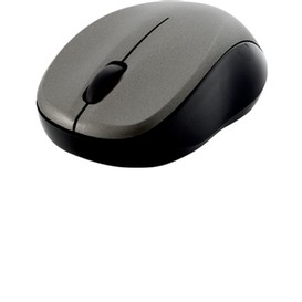 Souris sans fil del silencieuse gris