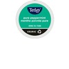 K-cup tetley menthe 24/bte