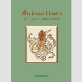 Animalium