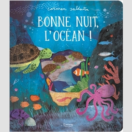 Bonne nuit l'ocean