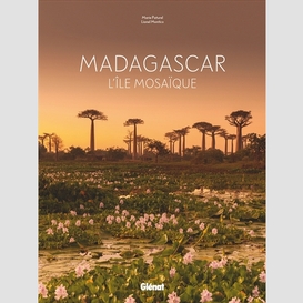 Madagascar l'ile mosaique