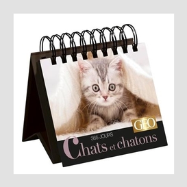 365 jours chats et chatons