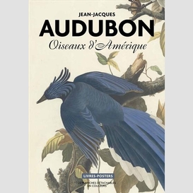 Oiseaux d'amerique