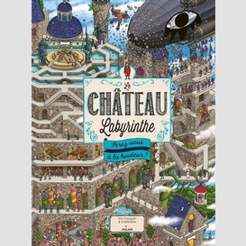 Chateau labyrinthe (le)