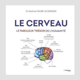 Cerveau (le)