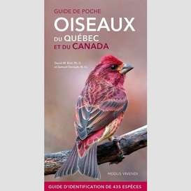 Oiseaux du quebec et du canada