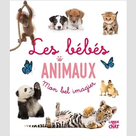 Bebes animaux (les)