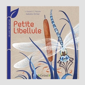 Petite libellule