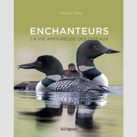 Enchanteurs