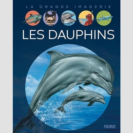 Dauphins (les)