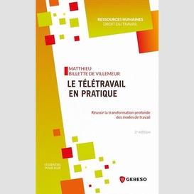 Teletravail en pratique (le)