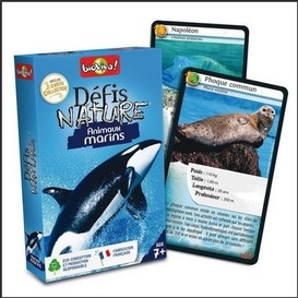 Defis nature - animaux marins