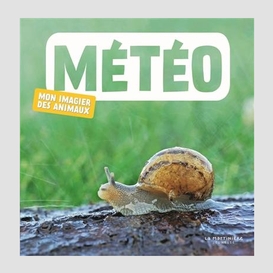 Meteo