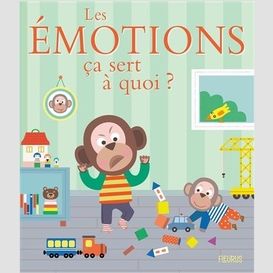 Emotions (les)