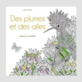 Des plumes et des ailes - dessins a colo