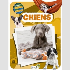 Chiens