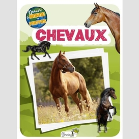 Chevaux