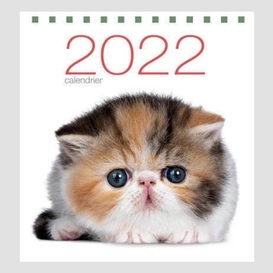 Calendrier de table chats 2022