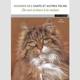 Dessiner des chats et autres felins