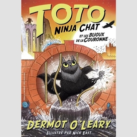 Toto ninja chat et les bijoux de la cour