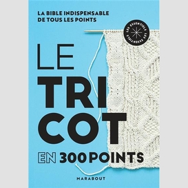 Tricot en 300 points (le)