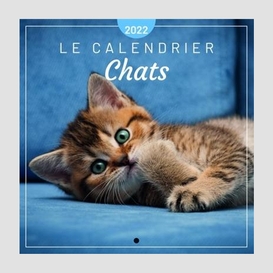 Calendrier chats 2022 (le)