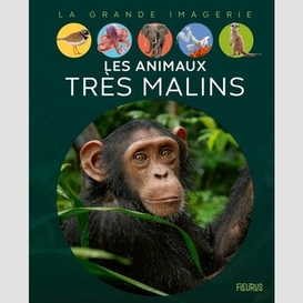 Animaux tres malins (les)
