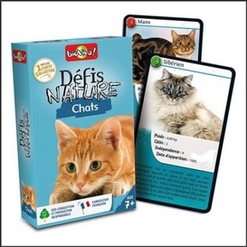 Defis nature - chats