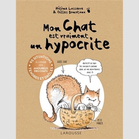 Mon chat est vraiment un hypocrite