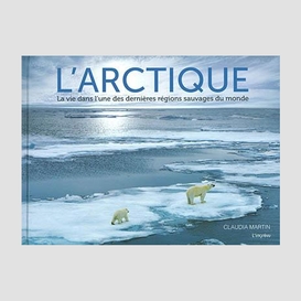 Arctique (l')