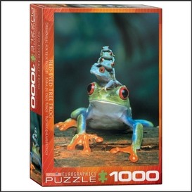 Casse-tete 1000mcx - red eyes tree frog