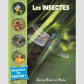 Insectes (les)